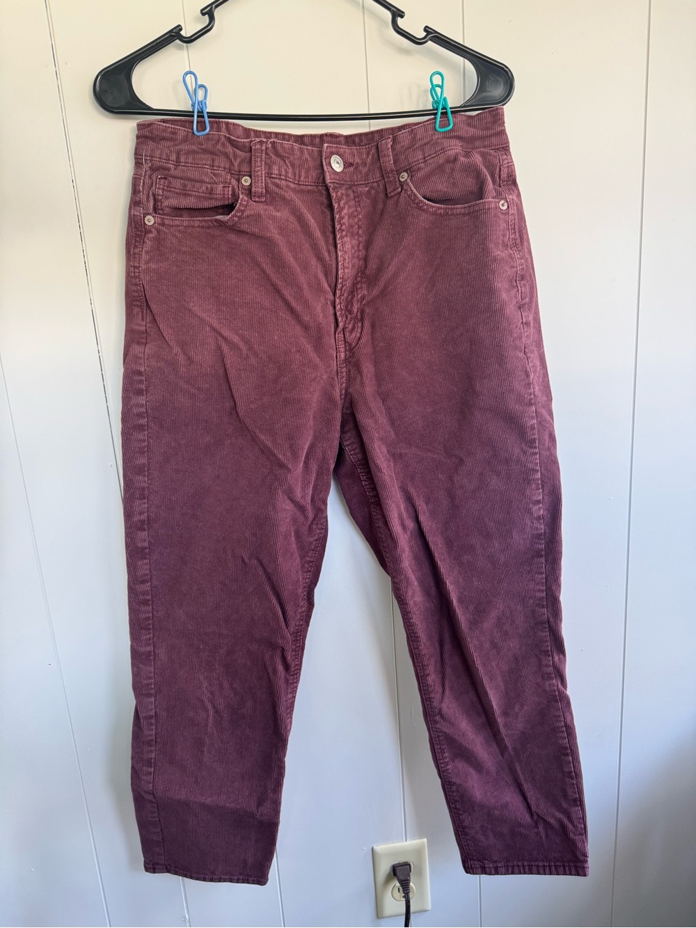 American Eagle Outfitters Corduroy Pants in Plum